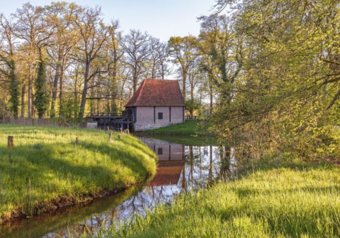 Historische watermolen naast een beek en omringd door groene bomen en weiden.
