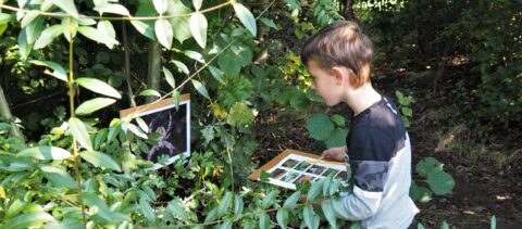 Jongen onderzoekt bladeren met een clipboard in zijn hand in een groen, bosrijk gebied.
