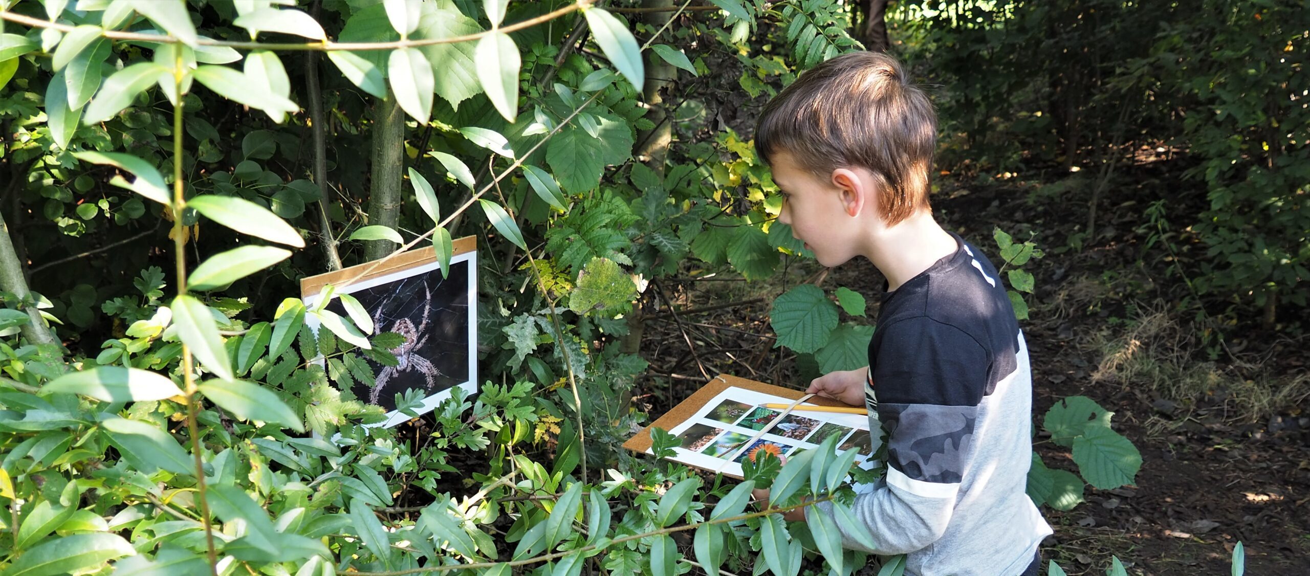 Jongen onderzoekt bladeren met een clipboard in zijn hand in een groen, bosrijk gebied.