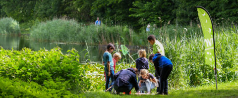 Een groep kinderen onderzoekt de natuur bij een vijver, omgeven door groene bomen en riet.