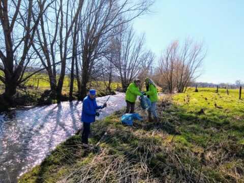 Personen ruimen afval op langs een beek, met bomen en grasland op de achtergrond.