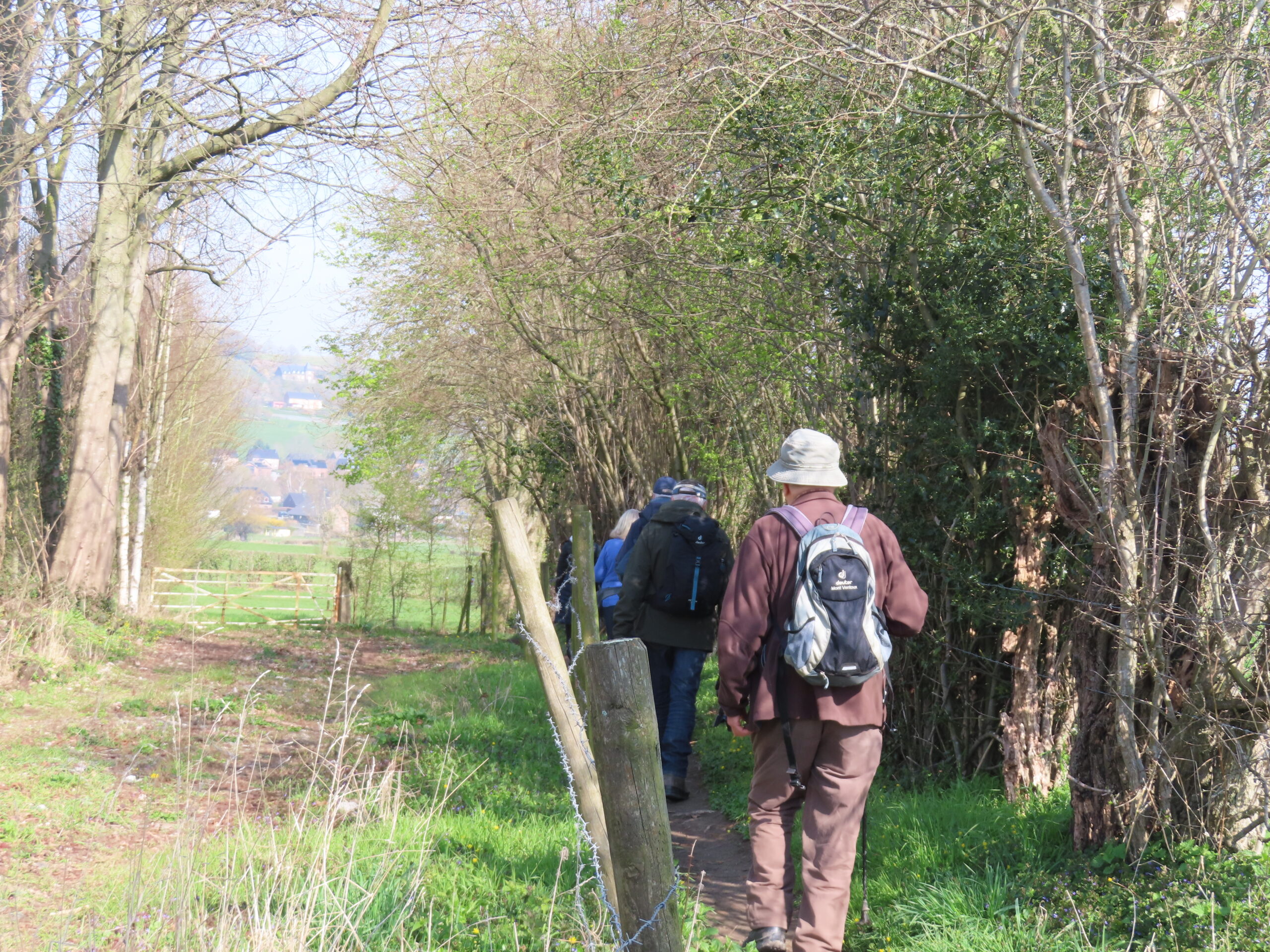 Drie wandelaars met rugzakken op een bosachtig pad, met zicht op een groen landschap.