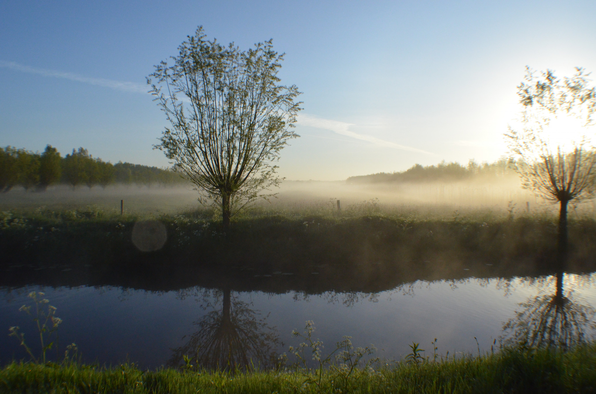 Jubileum editie Grote Ratelaar
