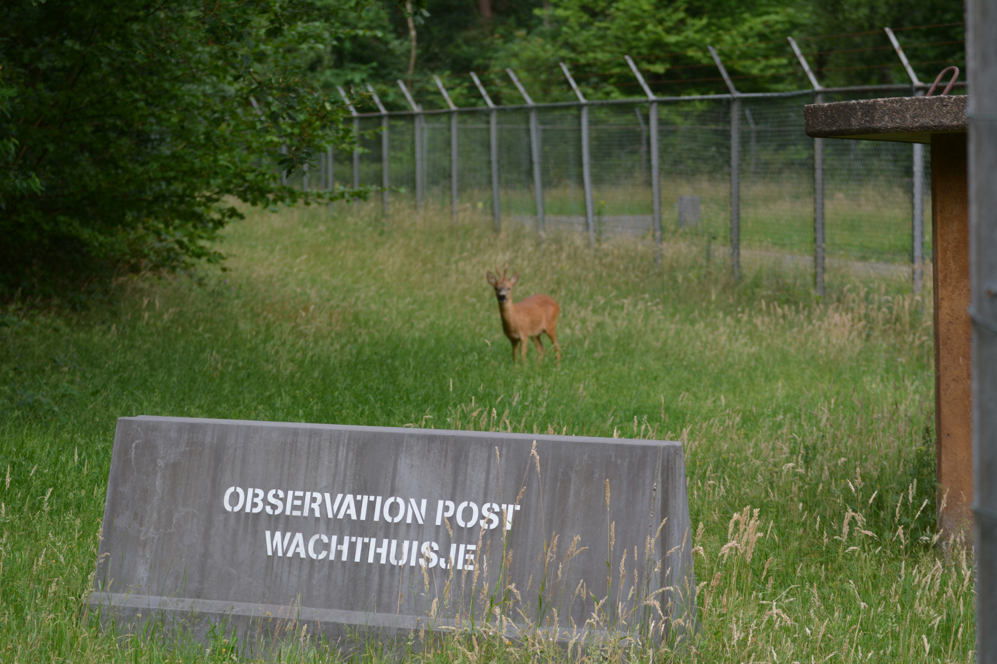 Natuurwandeling Vliegbasis Soesterberg voor leden van IVN en KNNV