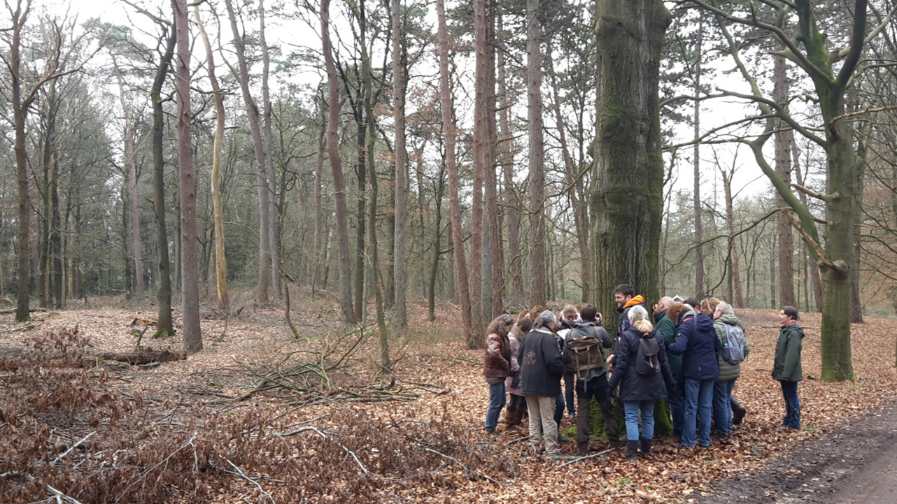 Ledenwandeling op Noordhout