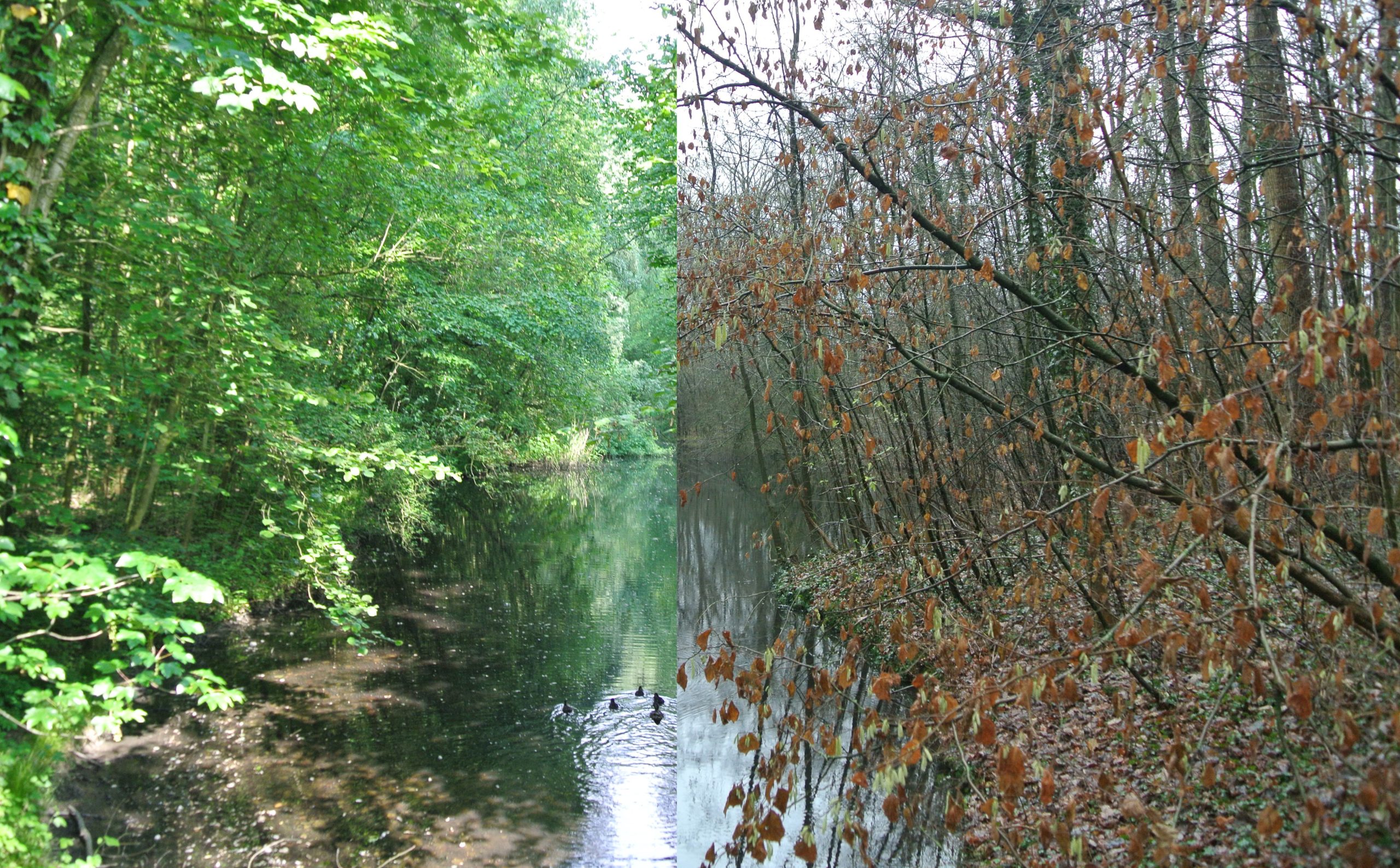 Scharrelkids op de Niënhof