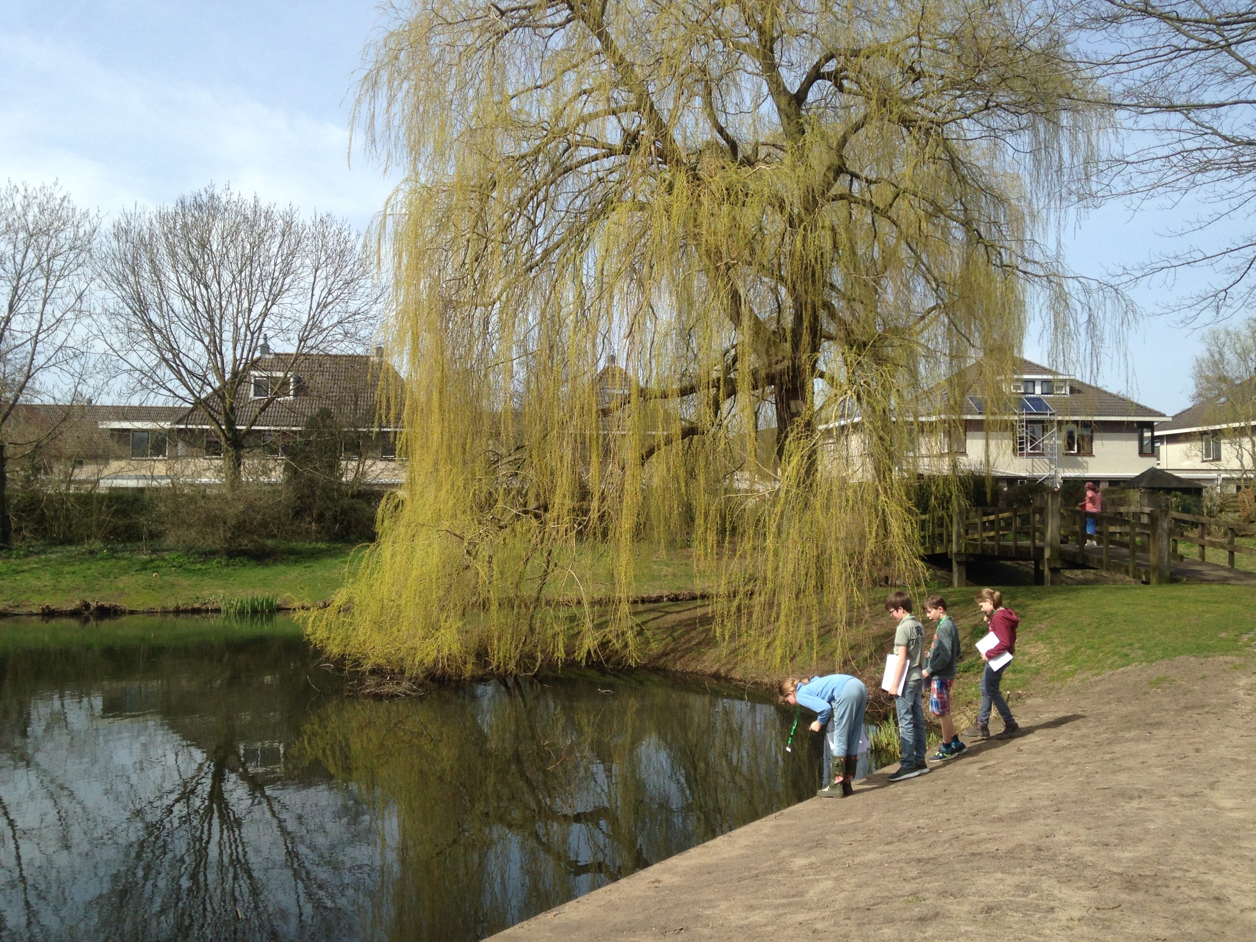 IVN scharrelkids “natuur in de buurt”
