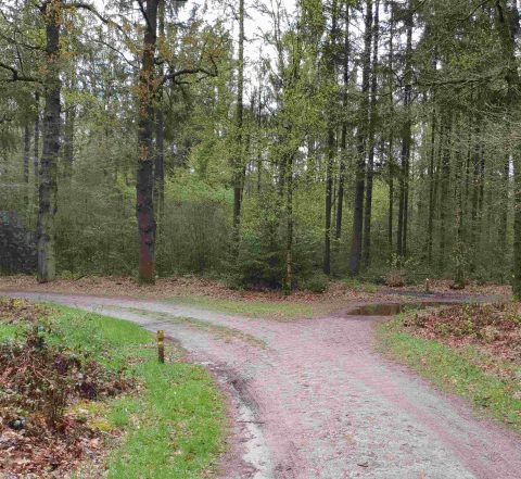 Ledenwandeling
