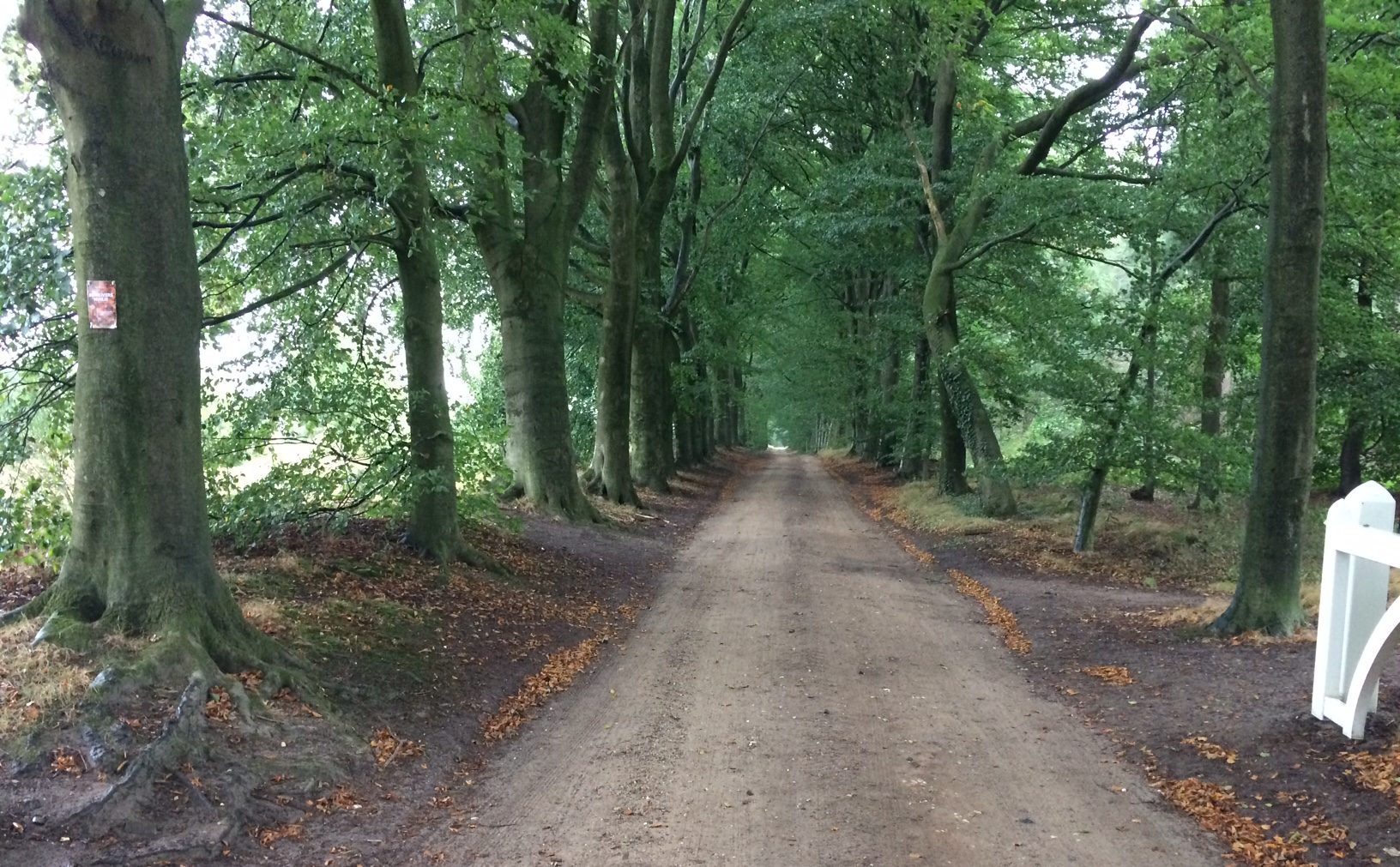 Maarnse bergweg