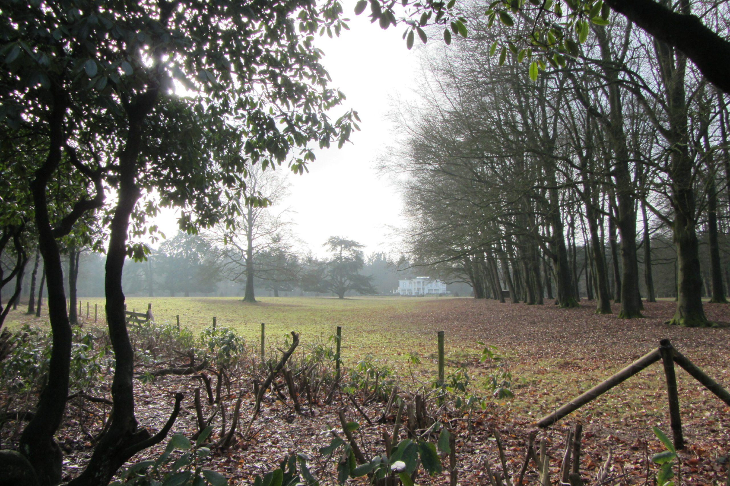 Bosrand bij open veld met een houten hek en huis op de achtergrond. Winterachtig landschap.