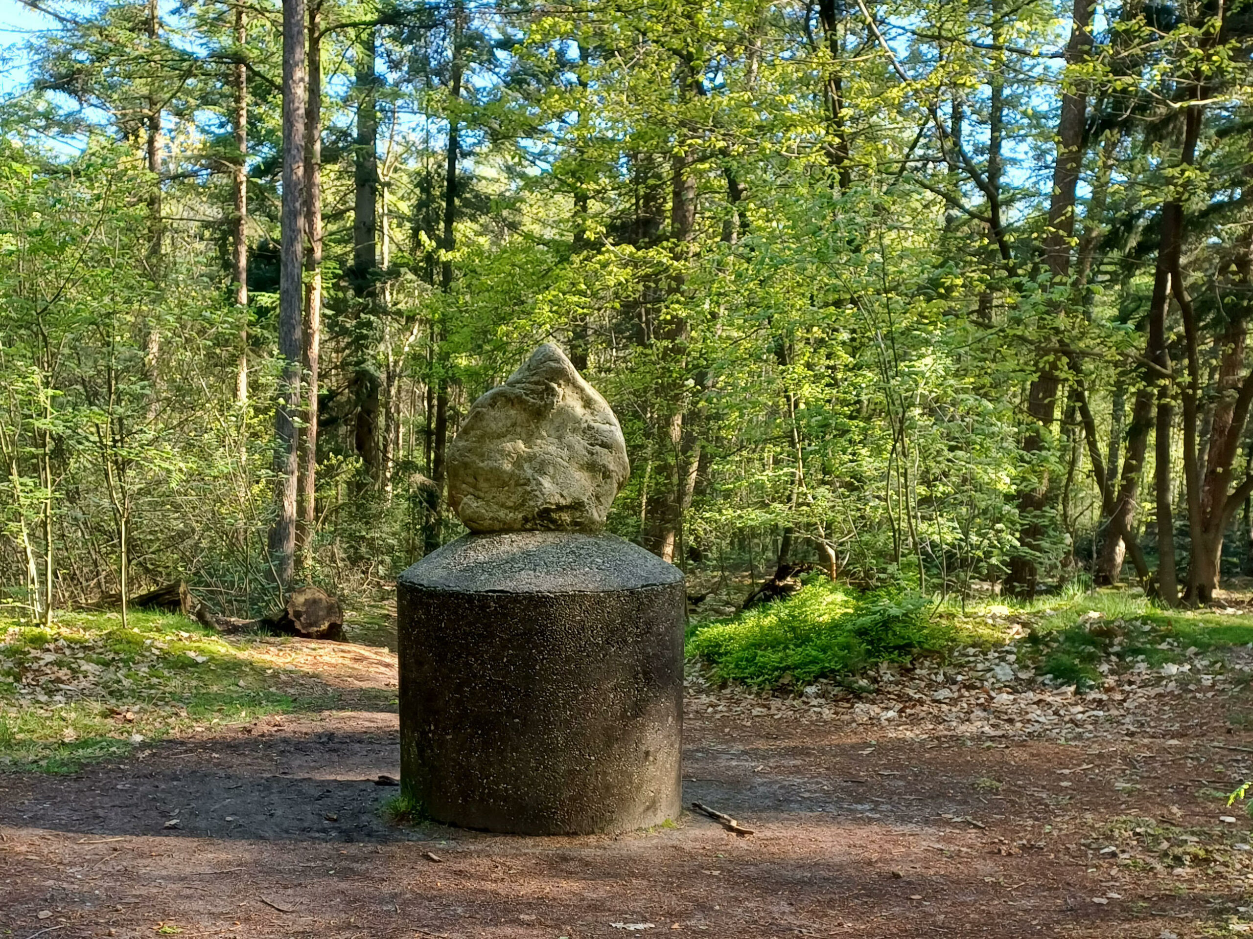 Ronde sokkel met grote steen in bosrijke omgeving omringd door bomen en zonlicht.