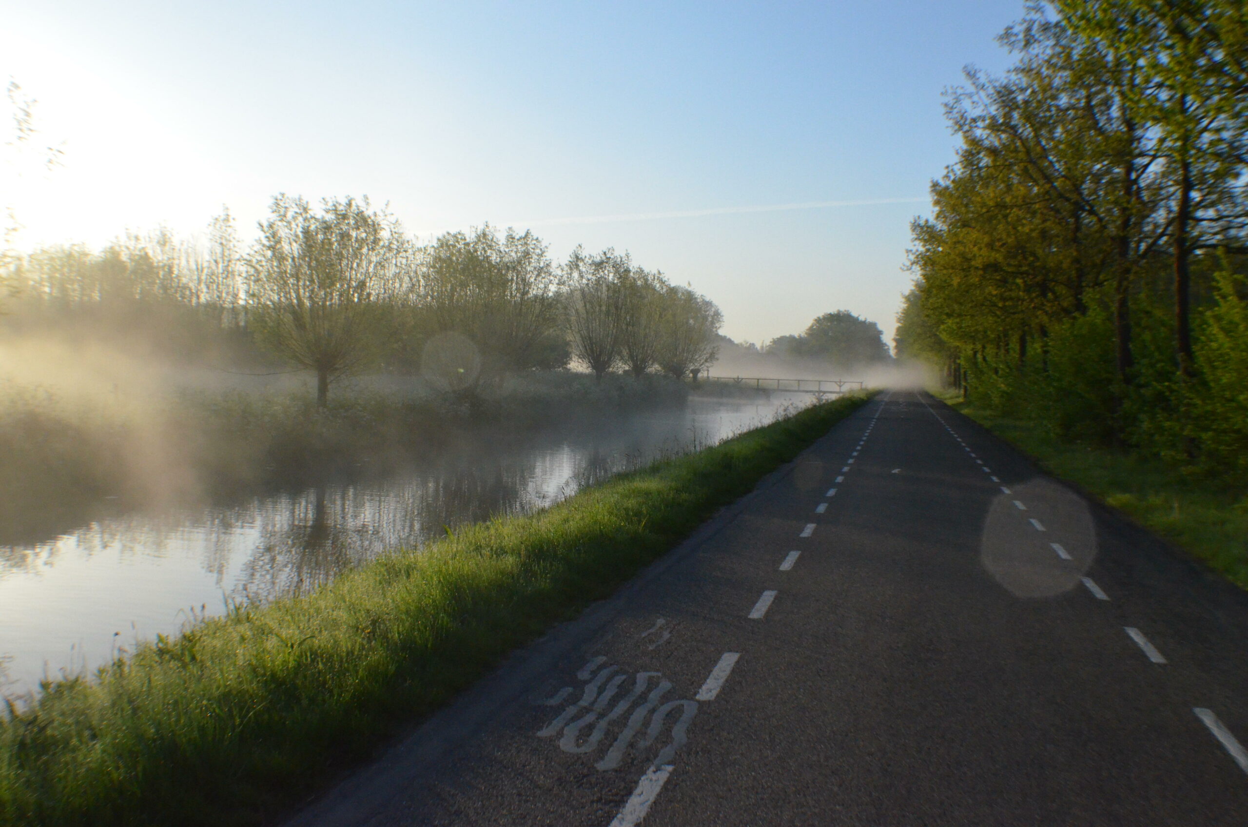 Landweg naast sloot omgeven door bomen in ochtendmist.