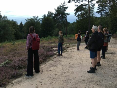 Bosbeleving Amerongse bos