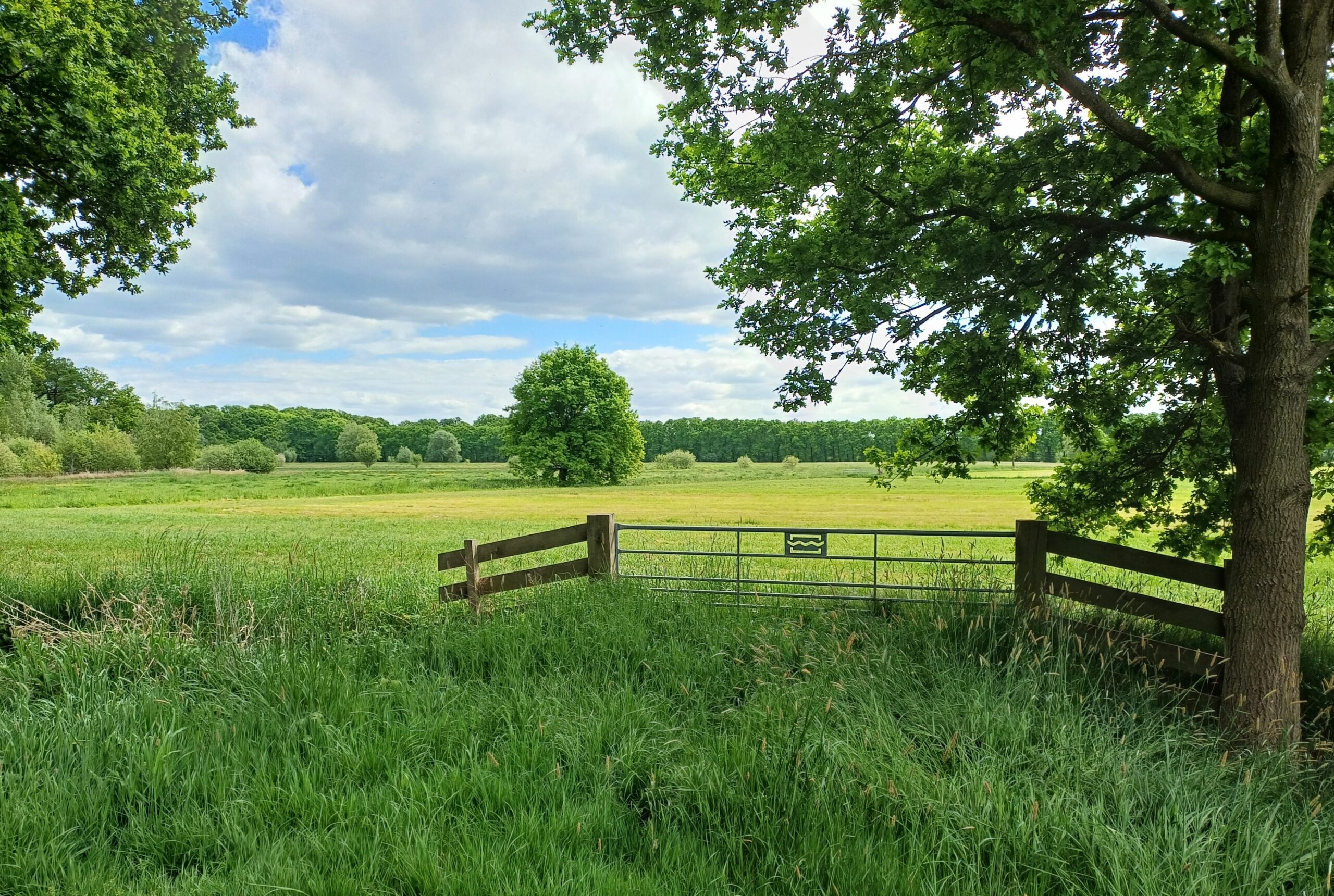 Wandelexcursie Beverweerd en Kromme Rijn