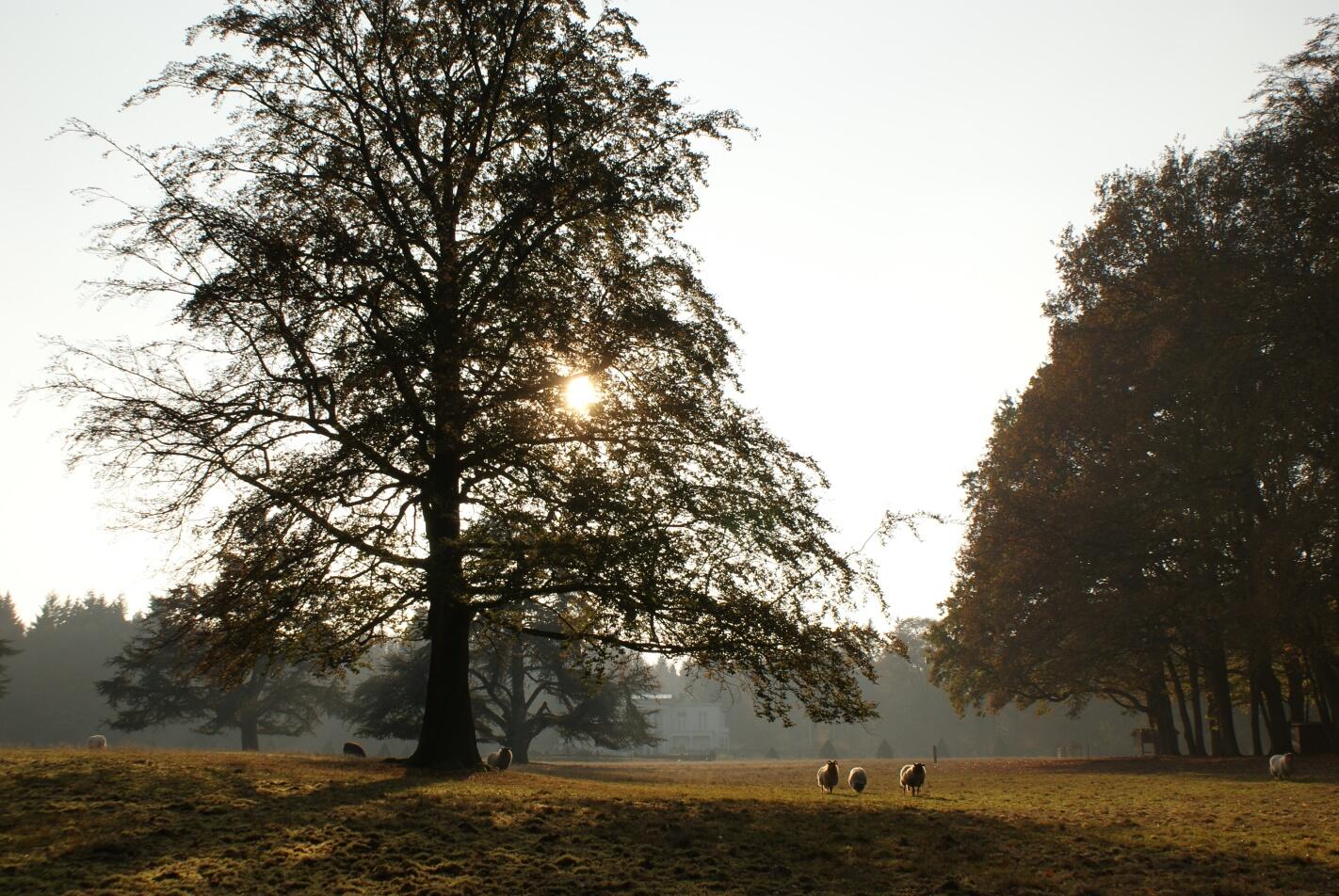 winterwandeling huis te Maarn