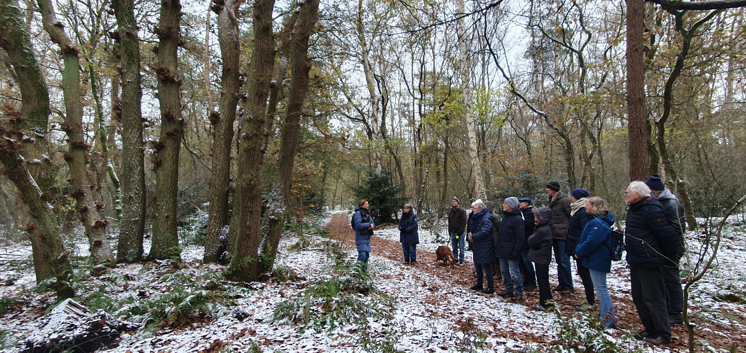 Groep wandelaars in besneeuwd bos luistert naar gids.