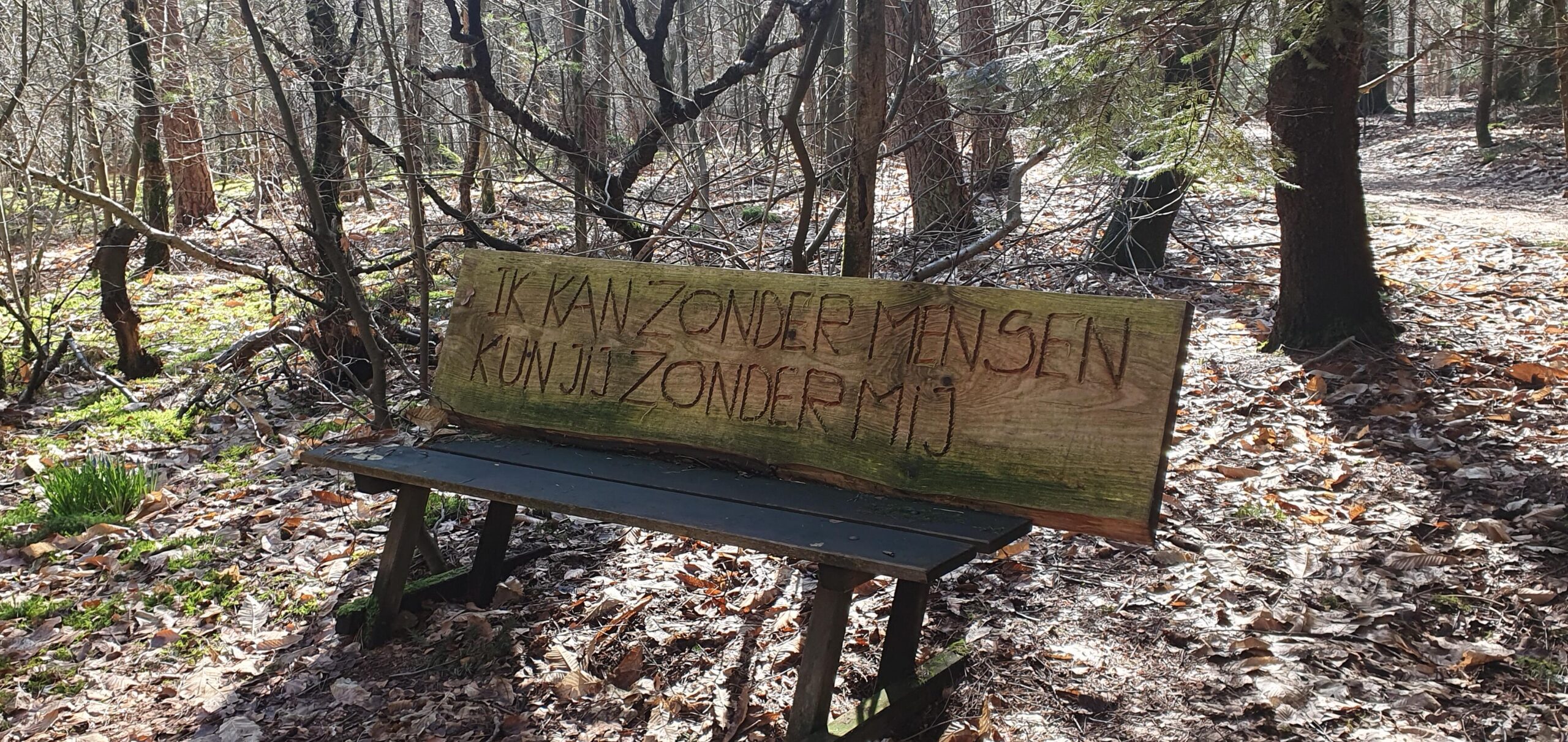 Houten bank in bos met inscriptie: "Ik kan zonder mensen, kun jij zonder mij?"