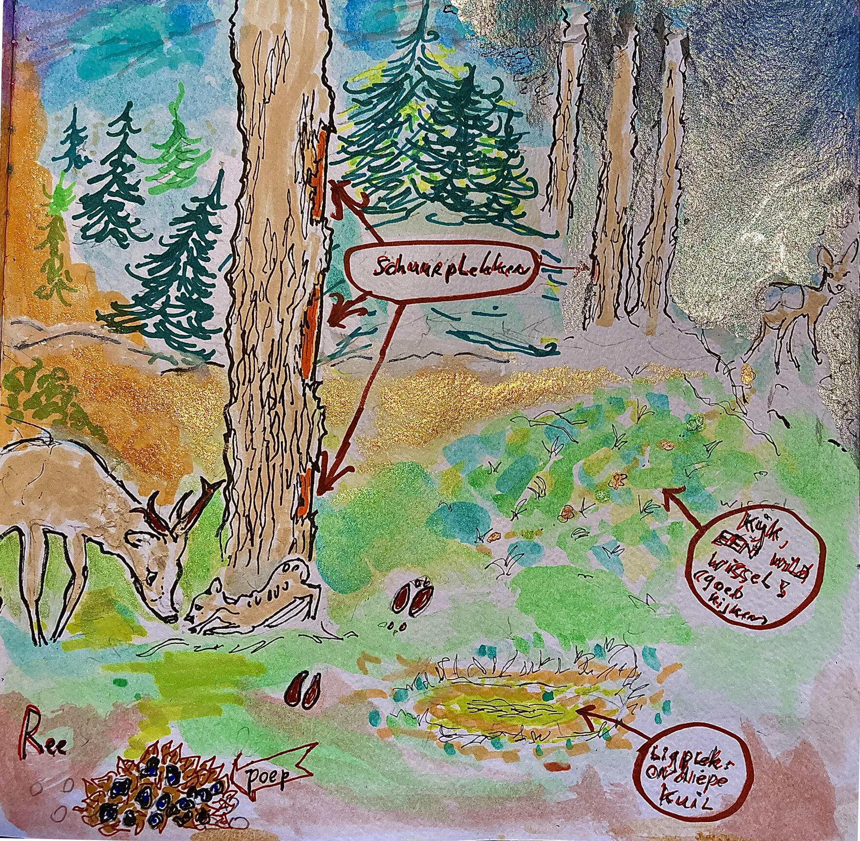 Illustratie van een bos met een ree, sporen, krabplekken op een boom en een karkas.