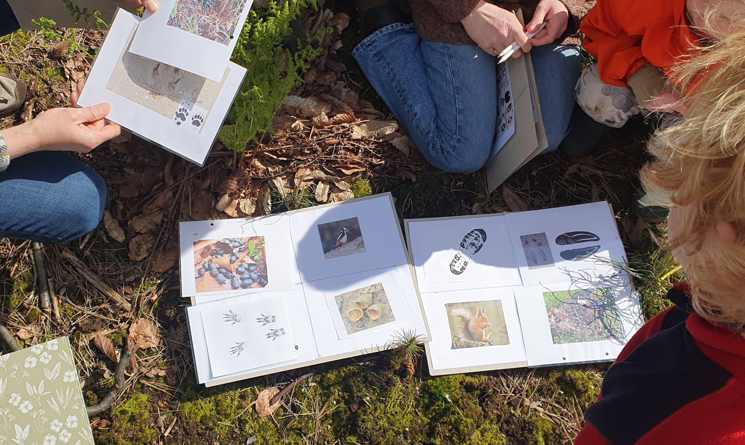 Personen bekijken buiten boeken over dieren en sporen op een met bladeren bedekte grond.