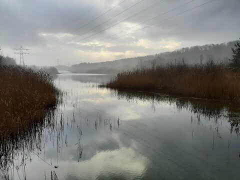Avondwandeling Zanderij