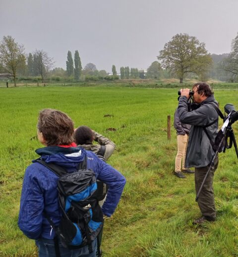 Mensen observeren vogels met verrekijkers in een grasveld op een bewolkte dag.