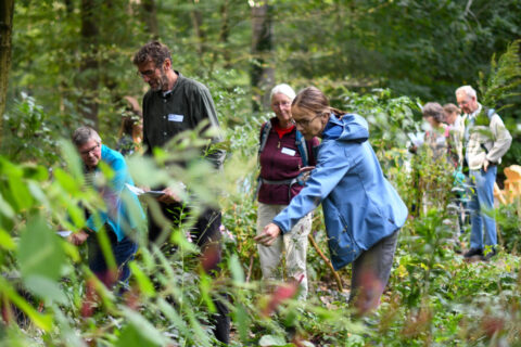 Mensen onderzoeken planten in een bosrijke omgeving tijdens een natuurwandeling.