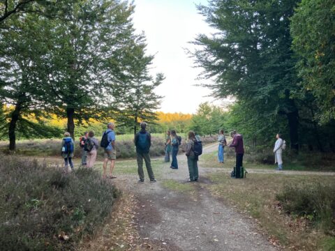 Een groep mensen staat in een kring in een bosrijke omgeving onder grote bomen.
