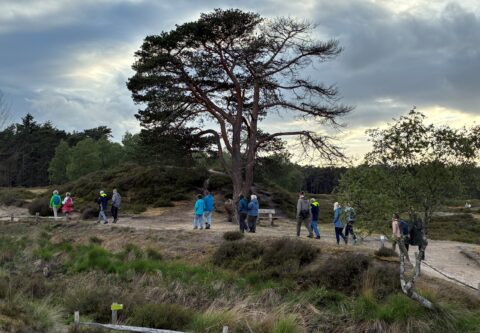 Groep wandelaars op bosachtig heidepad onder dreigende wolkenlucht.
