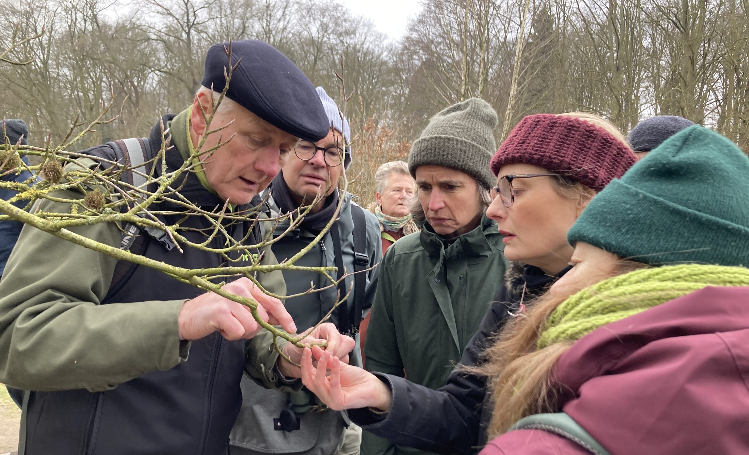 Wiinterherkenning: een kale tak bestuderen