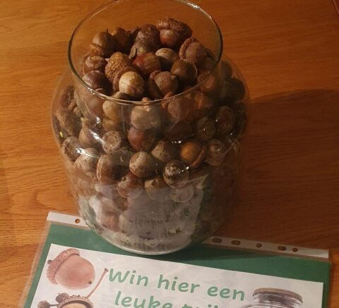 385 eikels in de pot!