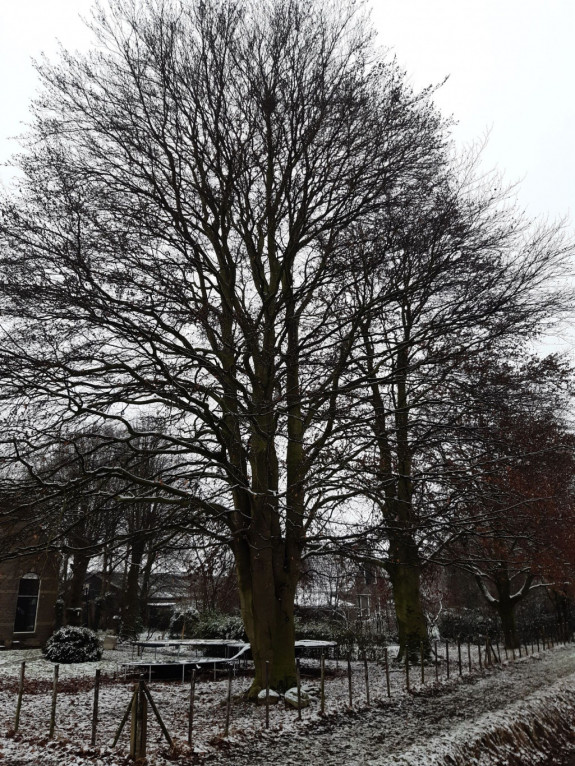 IVN Hoogeveen Jan Giethoorn