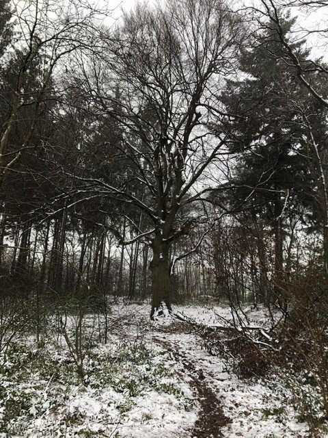 IVN Hoogeveen Jeanet de Jonge