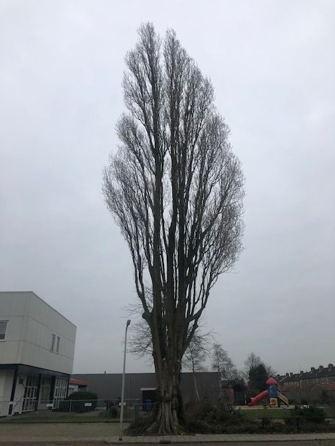 IVN Hoogeveen Willem Hersevoort
