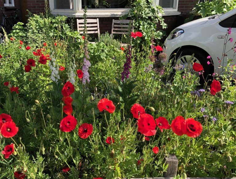 Grietje, ambassadeur Biodiversiteit