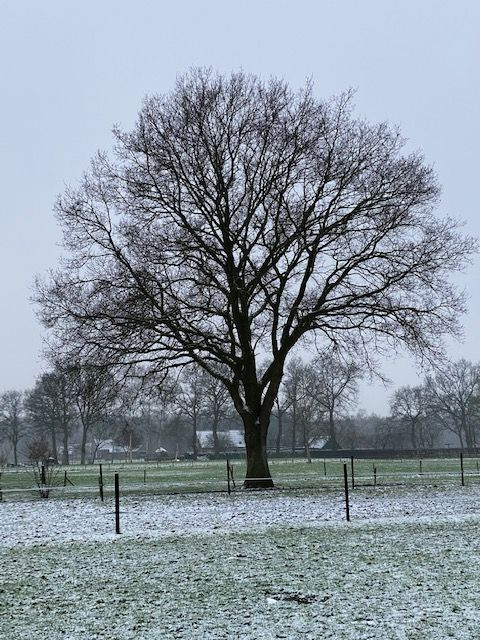 IVN Hoogeveen Rolien van de Belt
