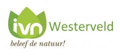 ivn_westerveld