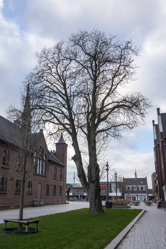 IVN Hoogeveen Jan Penninkhof