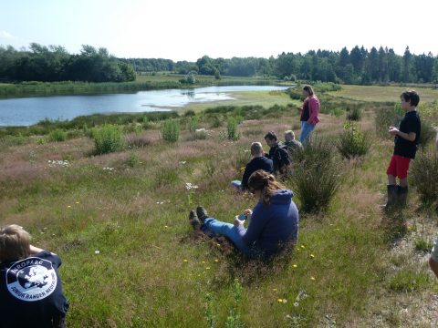 Junior Rangers bezoeken ecoduct Dwingelderveld