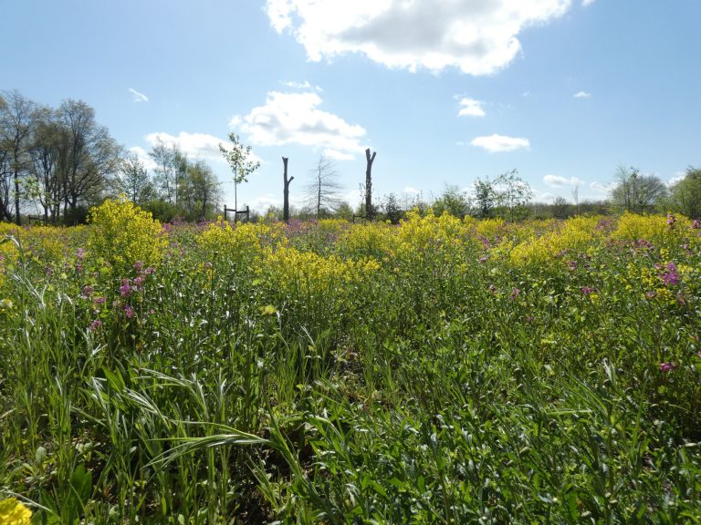 Zorgen voor Natuur doet ertoe!