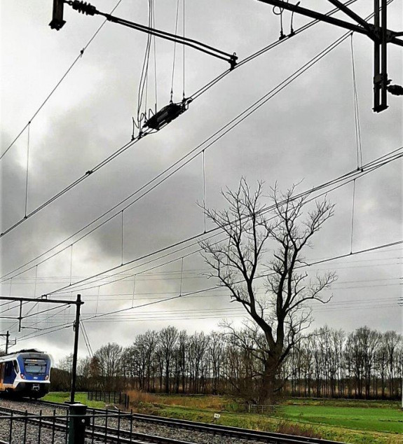 IVN Hoogeveen Anne Aalders
