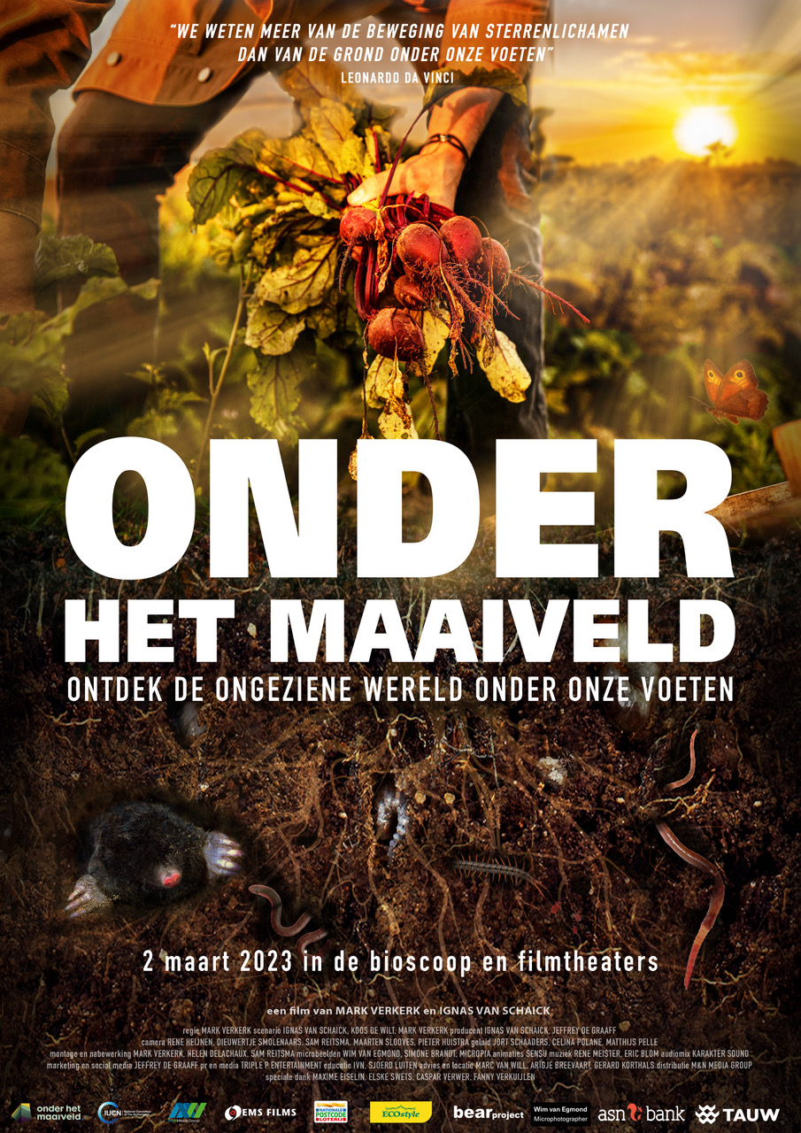 Poster van "Onder het Maaiveld": Wortels worden geoogst boven aarde met mol en wormen.