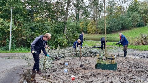 Mensen werken in een park aan het planten van bomen, omringd door groene natuur en een vijver.