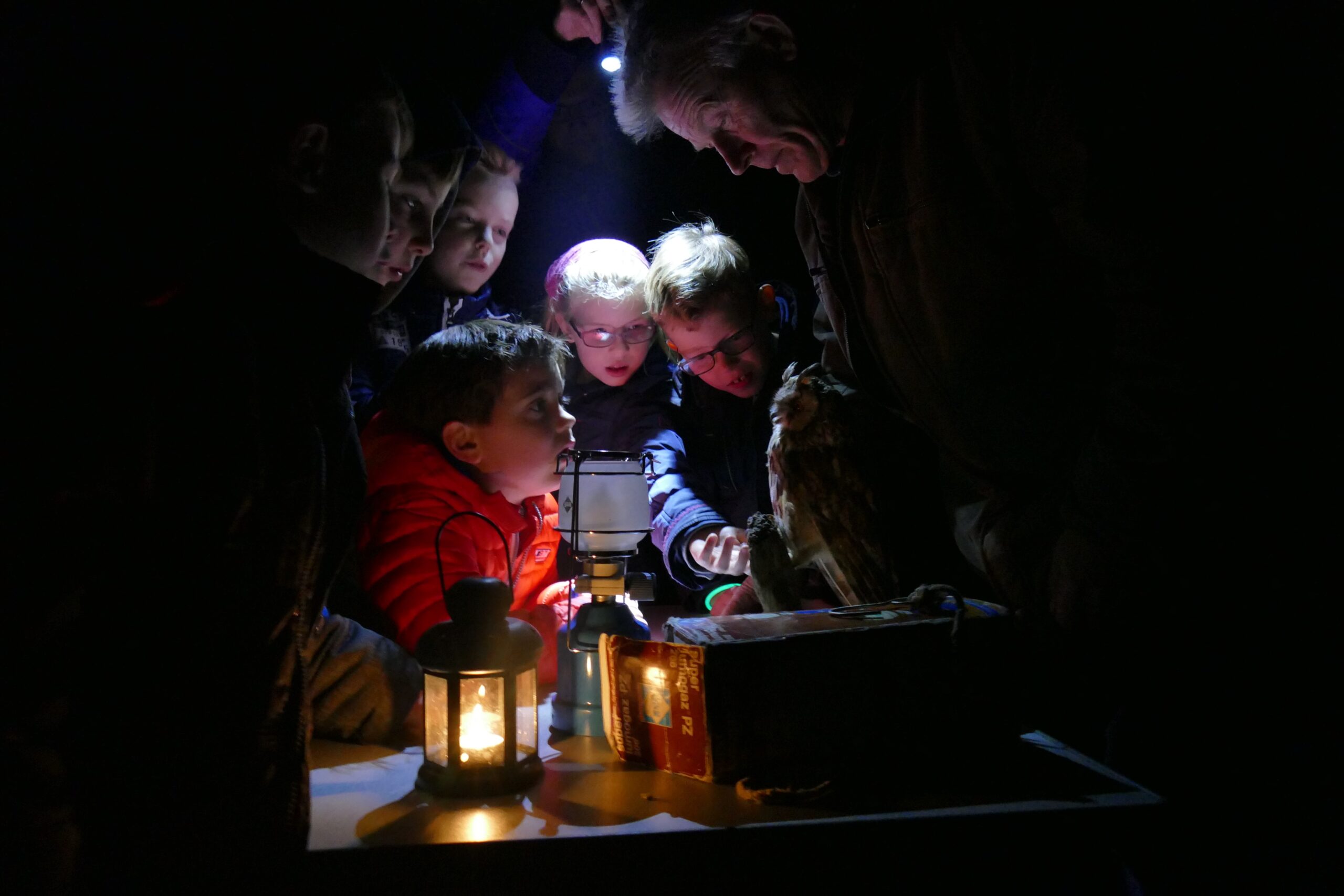 Een groep kinderen bewondert een uil bij kaarslicht in het donker.