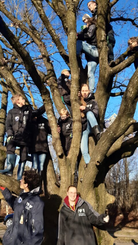 Groep mensen gekleed in donkere jassen klimt in een grote boom op een zonnige dag.