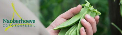Hand houdt verse peultjes vast, met Naoberhoeve Zorgboerderij logo op de achtergrond.