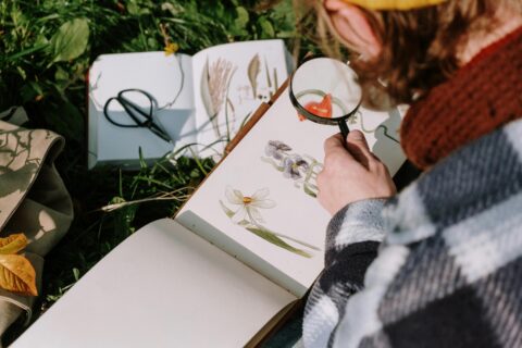 Persoon bestudeert bloemenillustraties met loep in een schetsboek, zittend op gras.