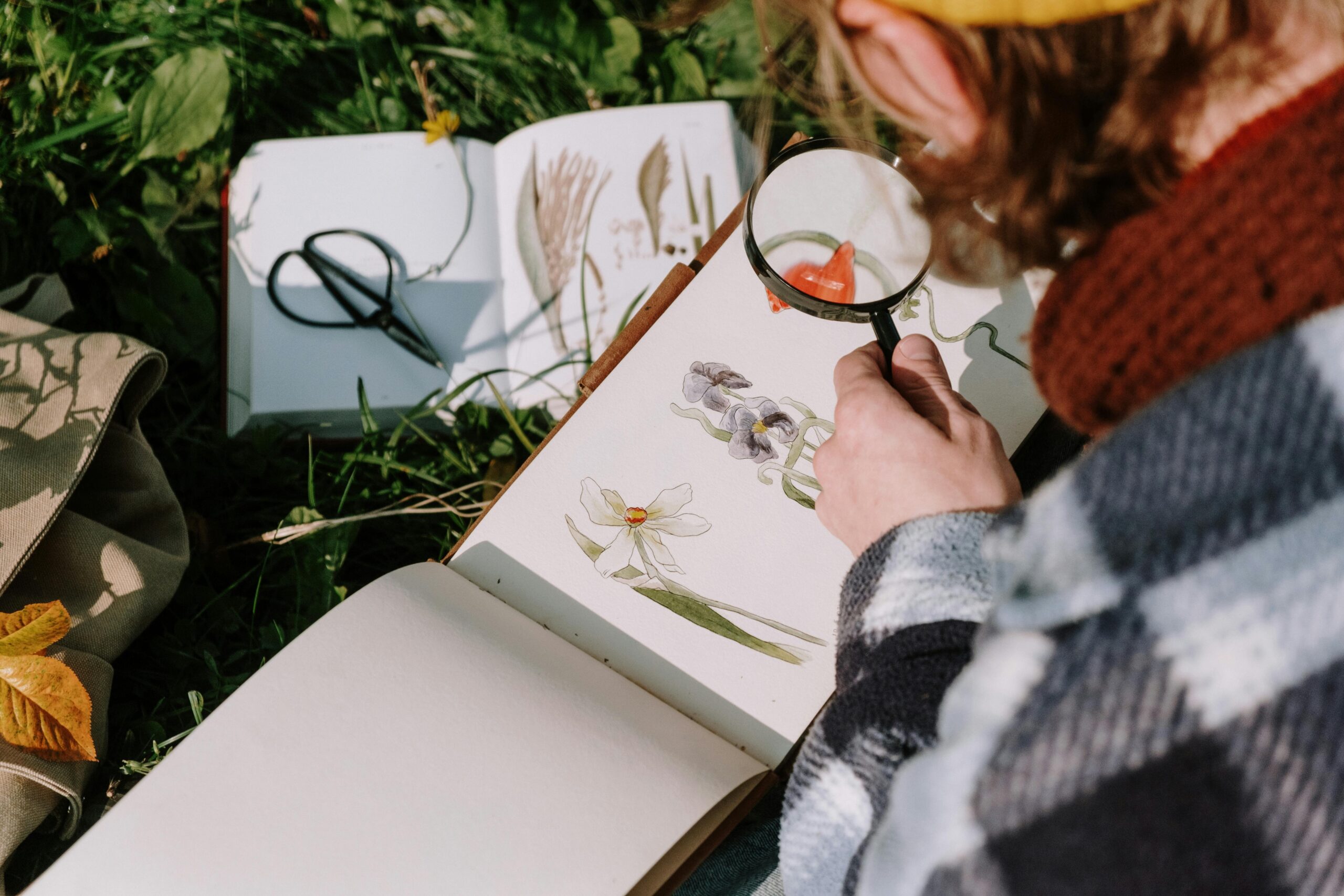 Persoon bestudeert bloemenillustraties met loep in een schetsboek, zittend op gras.