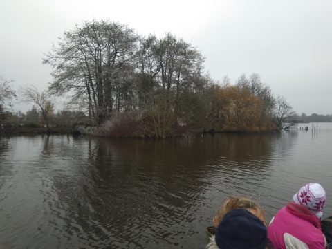 Met de boot naar een eilandje in de Reeuwijkse Plassen om te zagen en snoeien