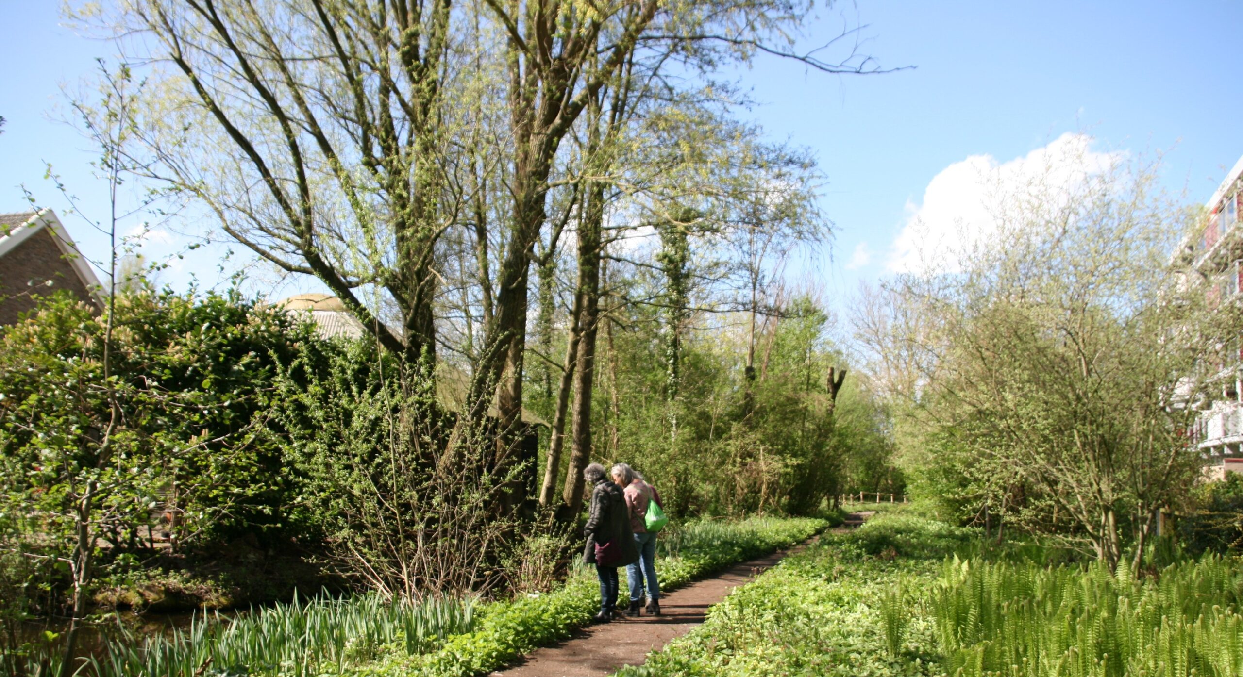 Twee mensen wandelen op een groen bospad onder een heldere blauwe lucht.
