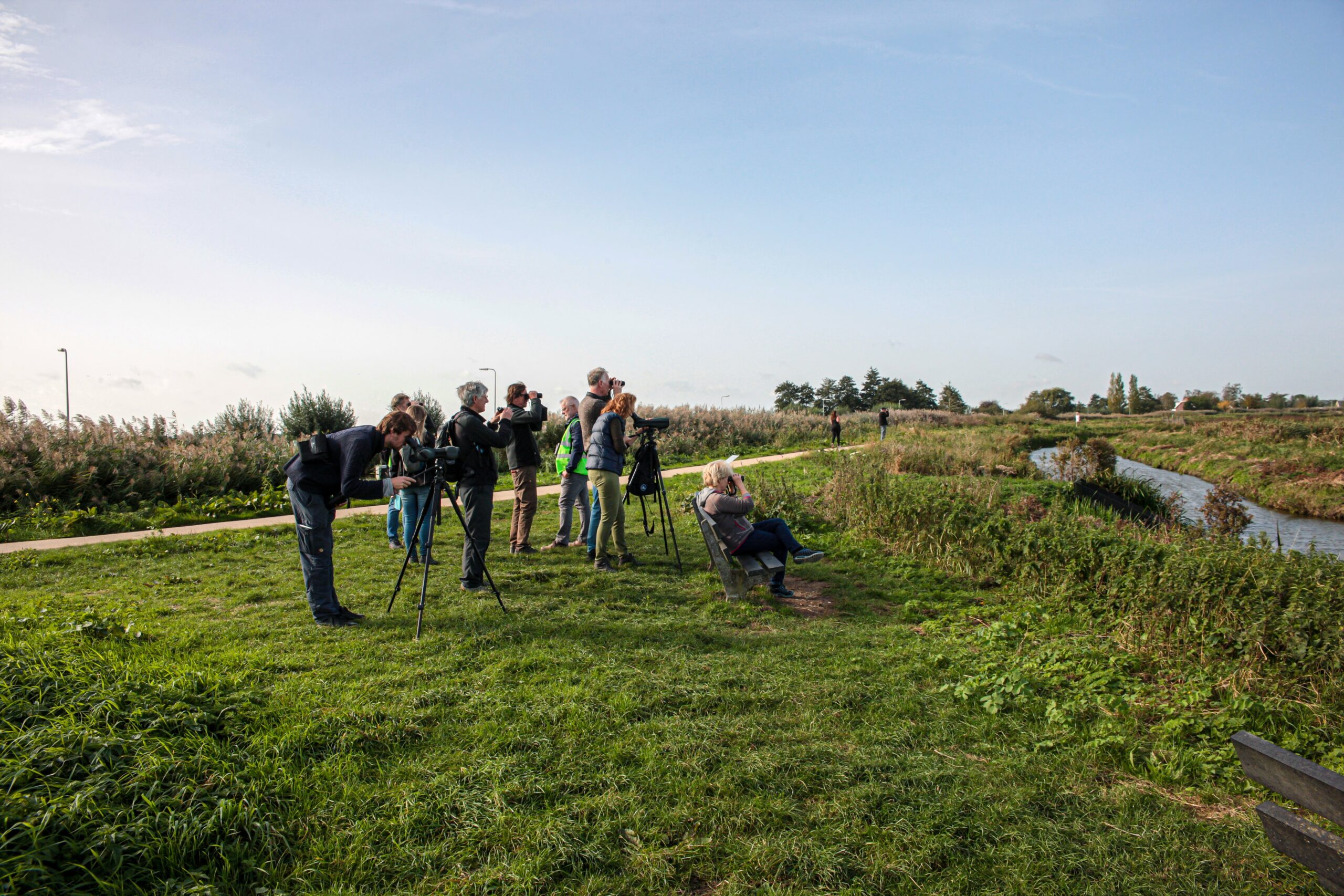 Groep mensen met telescopen observeert vogels in een groen, open natuurgebied.